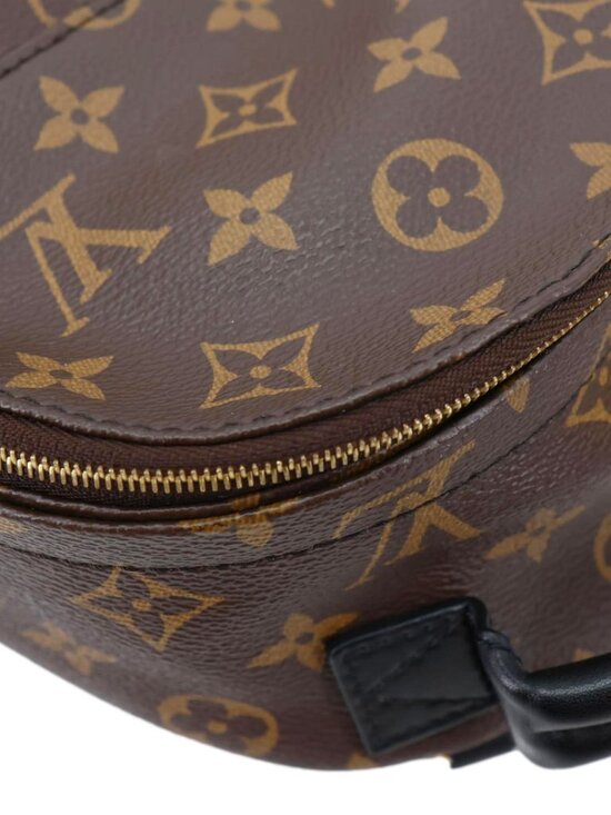 Louis Vuitton  Palm Spring Mini Monogram Canvas Backpack Brown main image 5